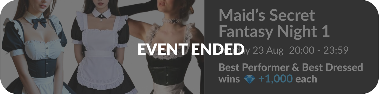 maid-secret-fantasy-theme-night-1-theme-ended