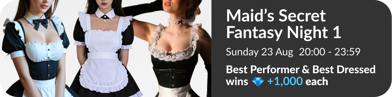 maid-secret-fantasy-theme-night-1-theme